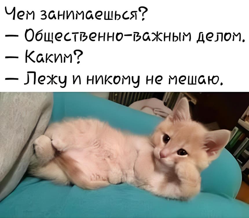 — Чем занимаешься?
— Общественно-важным делом.
— Каким?
— Лежу и никому не мешаю.