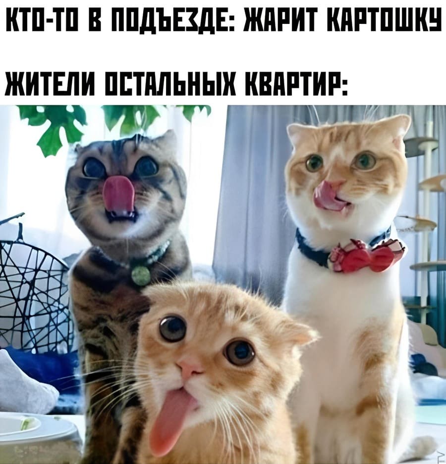 Кто-то в подъезде жарит картошечку.
Жители остальных квартир: облизываются. | Соседи