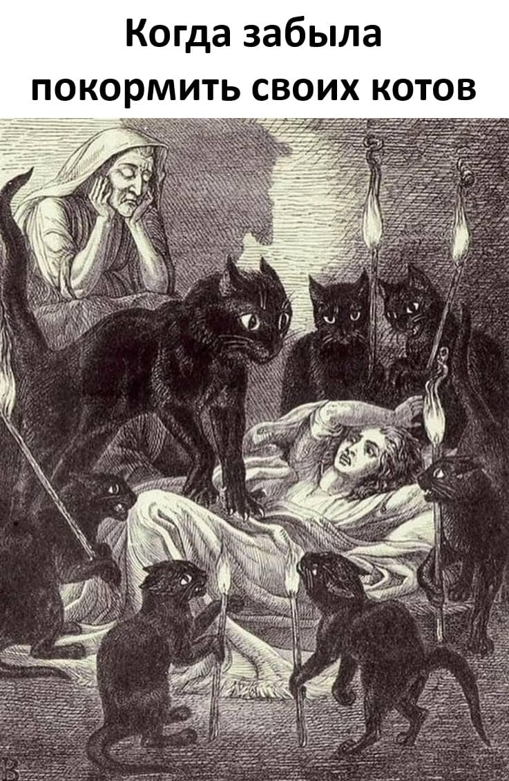 *Когда забыла покормить своих котов*