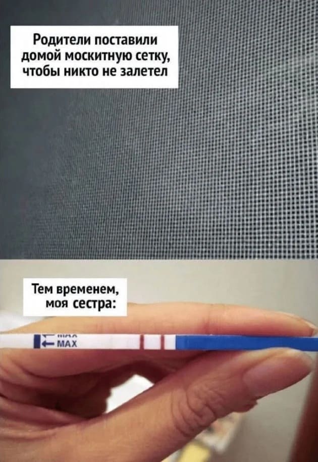 Родители поставили домой москитную сетку, чтобы никто не залетел.
Тем временем, моя сестра: *Положительный тест на беременность*