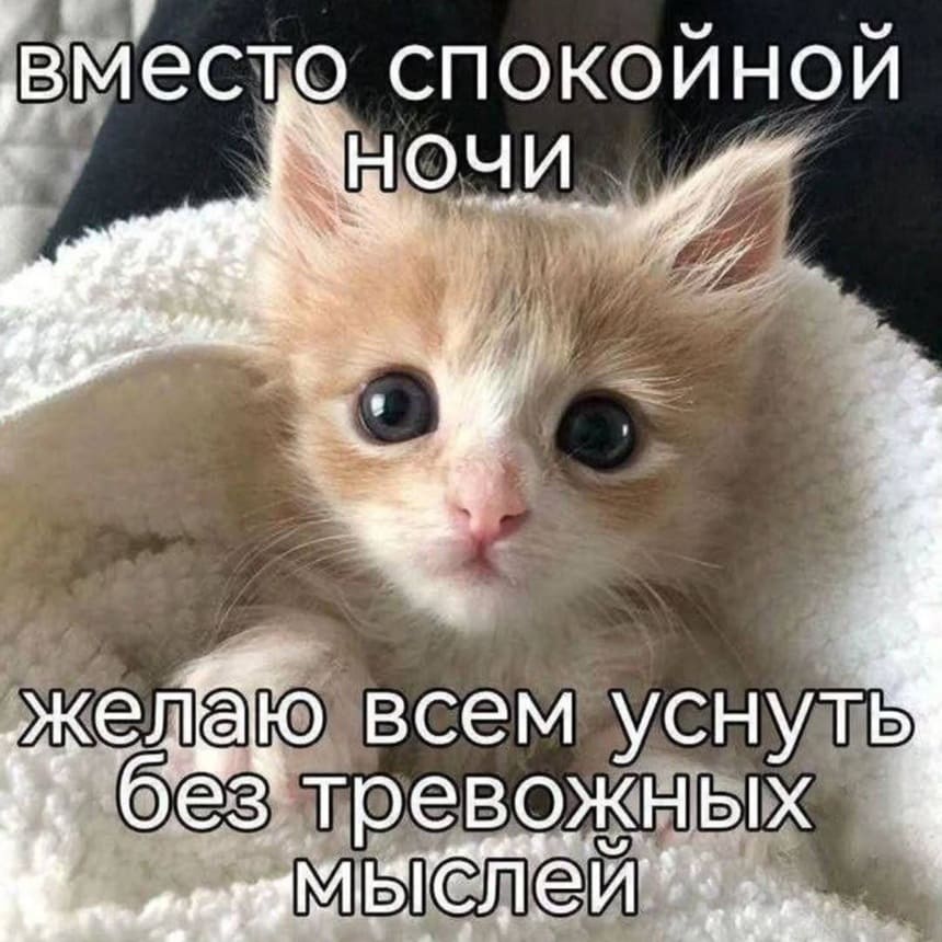 Вместо «Спокойной ночи», желаю всем уснуть без тревожных мыслей.