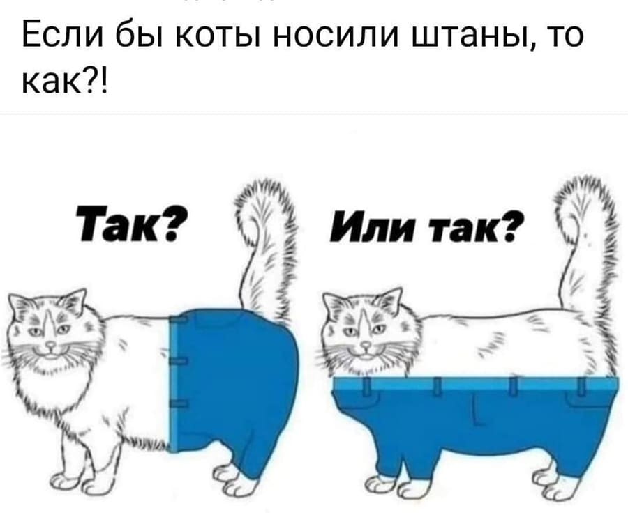Если бы коты носили штаны, то как?!
Так? Или так?