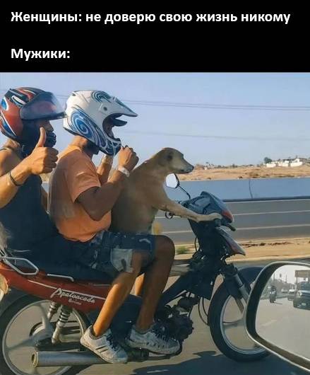 Женщины: *не доверю свою жизнь никому*
Мужики: *едут на мотике с собакой за рулём*