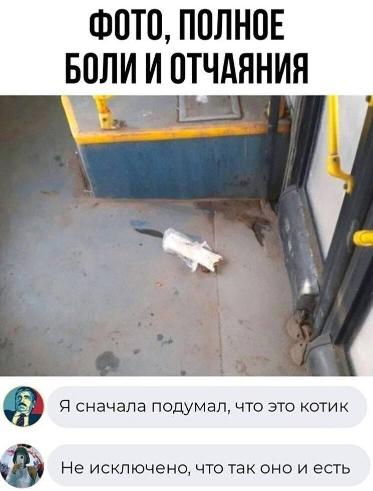 *ФОТО, ПОЛНОЕ БОЛИ И ОТЧАЯНИЯ*
– Я сначала подумал, что это котик.
– Не исключено, что так оно и есть.
