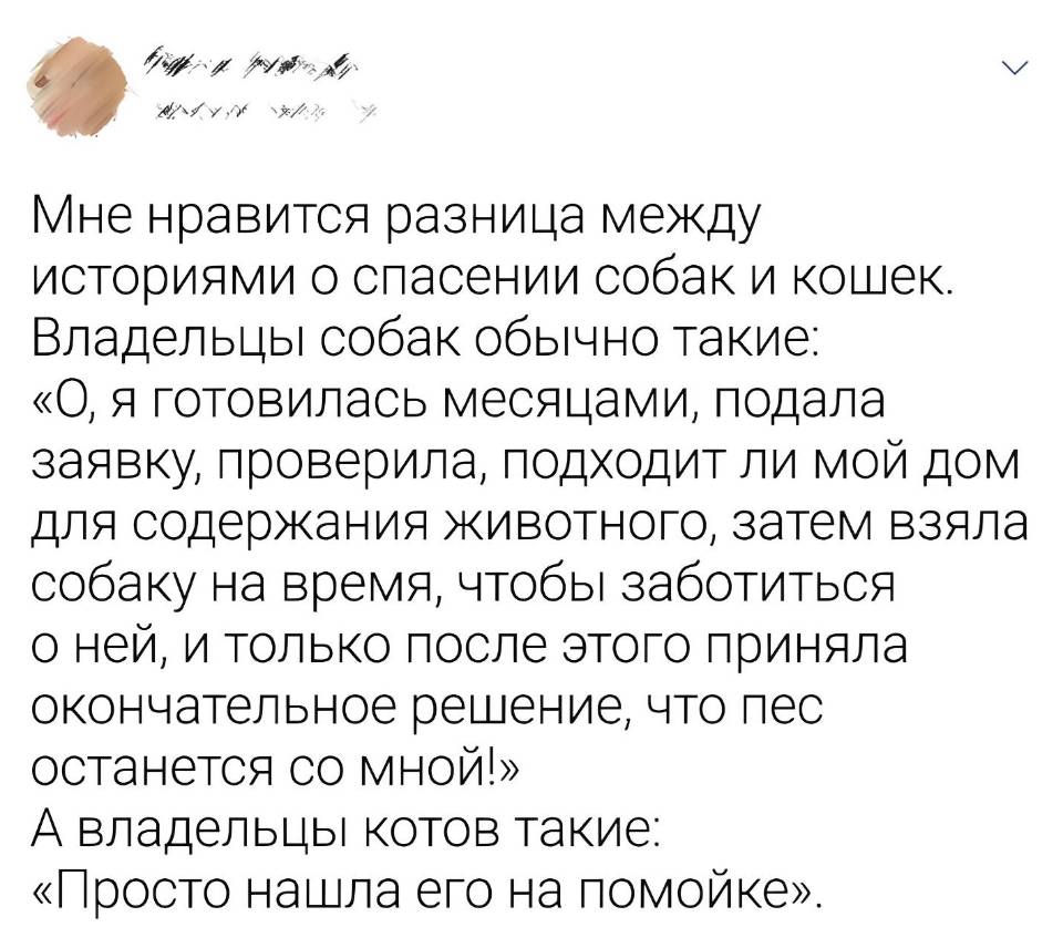 Мне нравится разница между историями о спасении собак и кошек. Владельцы собак обычно такие: «О, я готовилась месяцами, подала заявку, проверила, подходит ли мой дом для содержания животного, затем взяла собаку на время, чтобы заботиться о ней, и только после этого приняла окончательное решение, что пес останется со мной!» А владельцы котов такие: «Просто нашла его на помойке».