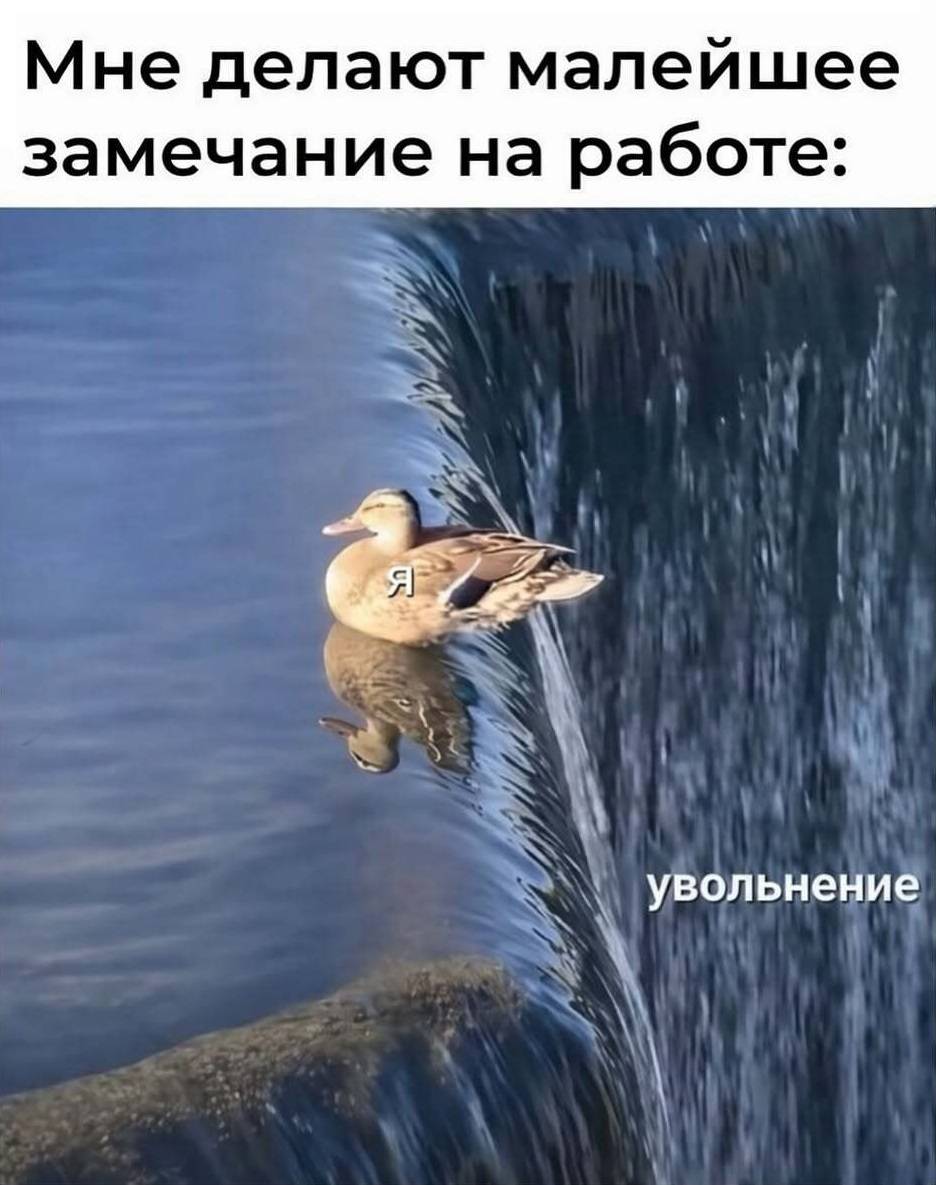 Мне делают малейшее замечание на работе: увольнение.