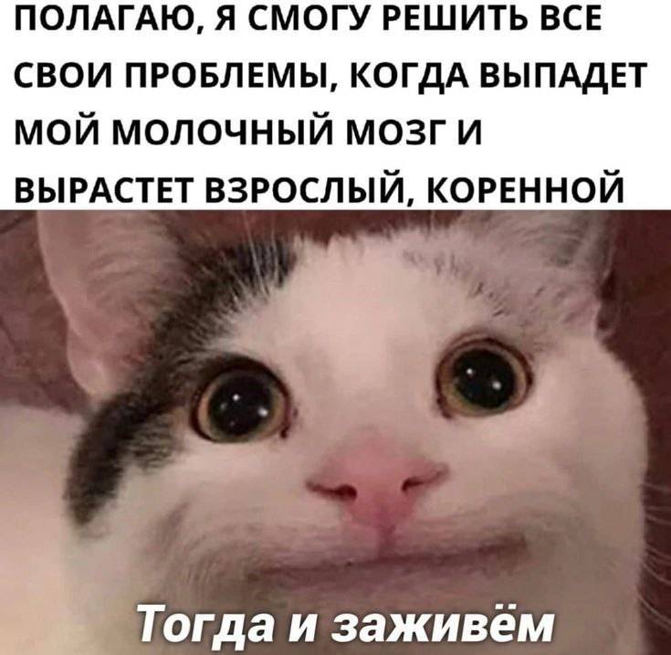 Полагаю, я смогу решить все свои проблемы, когда выпадет мой молочный мозг и вырастет взрослый, коренной.
*Тогда и заживём*