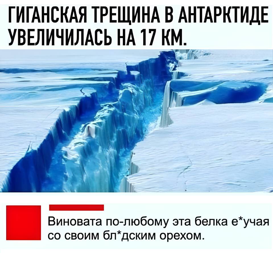 ГИГАНСКАЯ ТРЕЩИНА В АНТАРКТИДЕ УВЕЛИЧИЛАСЬ НА 17 KM.
– Виновата по-любому эта белка е учая со своим бл*дским орехом.