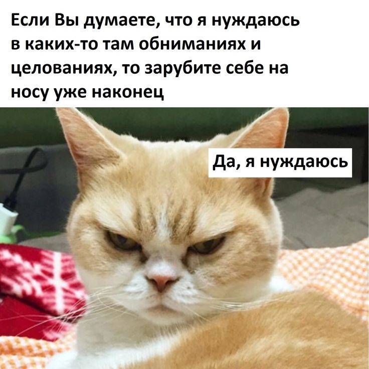 Если Вы думаете, что я нуждаюсь в каких-то там обниманиях и целованиях, то зарубите себе на носу уже наконец: Да, я нуждаюсь.