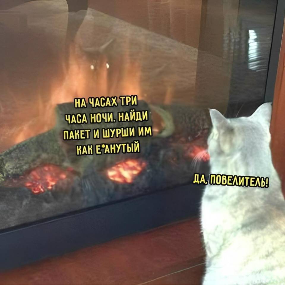 – На часах три часа ночи. Найди пакет и шурши им как ненормальный!
– Да, повелитель!