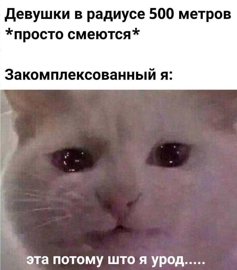 Девушки в радиусе 500 метров *просто смеются*
Закомплексованный я: эта потому што я урод....