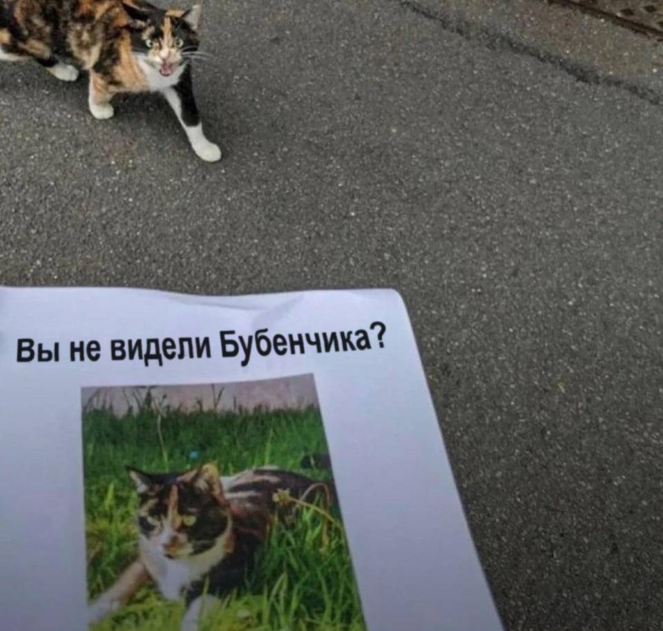 Вы не видели Бубенчика?