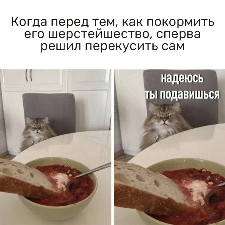 *Когда перед тем, как покормить его шерстейшество, сперва решил перекусить сам*
– Надеюсь ты подавишься