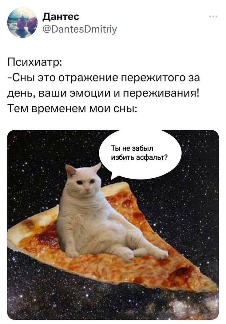 Психиатр:
– Сны это отражение пережитого за день, ваши эмоции и переживания!
Тем временем мои сны: Ты не забыл избить асфальт?