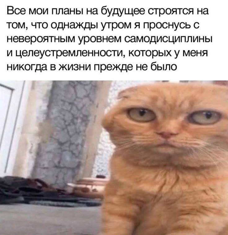 Все мои планы на будущее строятся на том, что однажды утром я проснусь с невероятным уровнем самодисциплины и целеустремленности, которых у меня никогда в жизни прежде не было.