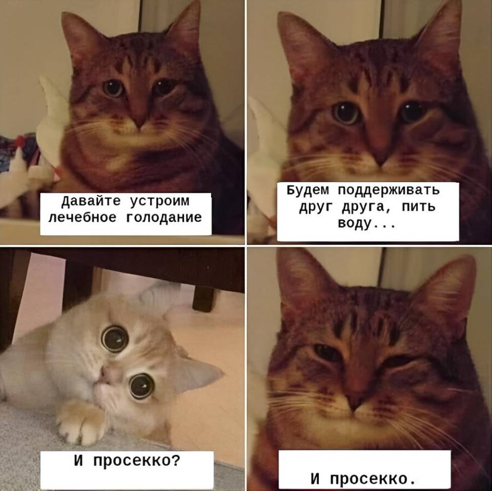 – Давайте устроим лечебное голодание. . . Будем поддерживать друг друга, пить воду...
– И просекко?
– И просекко.