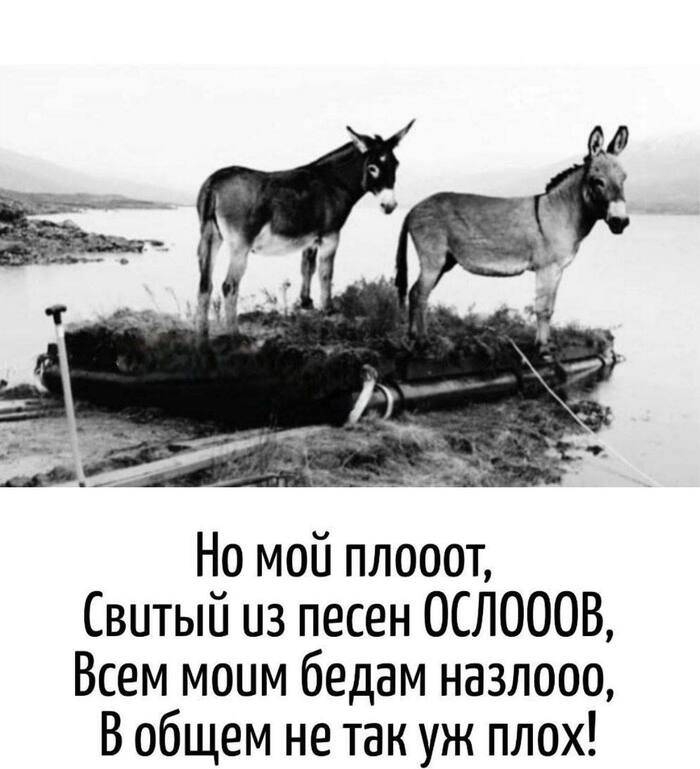 Но мой плооот,
Свитый из песен ОСЛОООВ,
Всем моим бедам назлооо,
В общем не так уж плох!