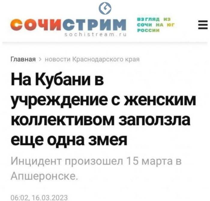 Новостной заголовок: На Кубани в учреждение с женским коллективом заползла еще одна змея.
Инцидент произошел 15 марта в Апшеронске.