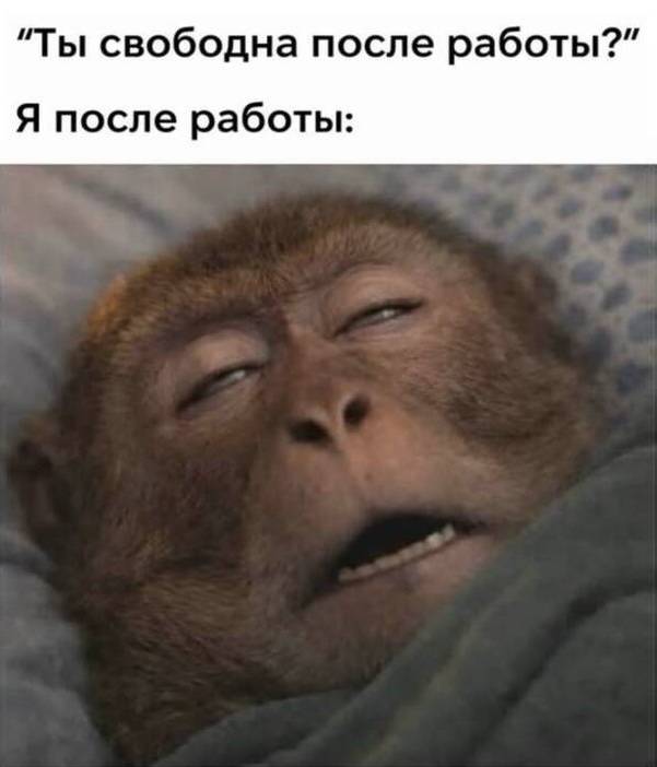 Ты свободна после работы?
Я после работы: *Спать*