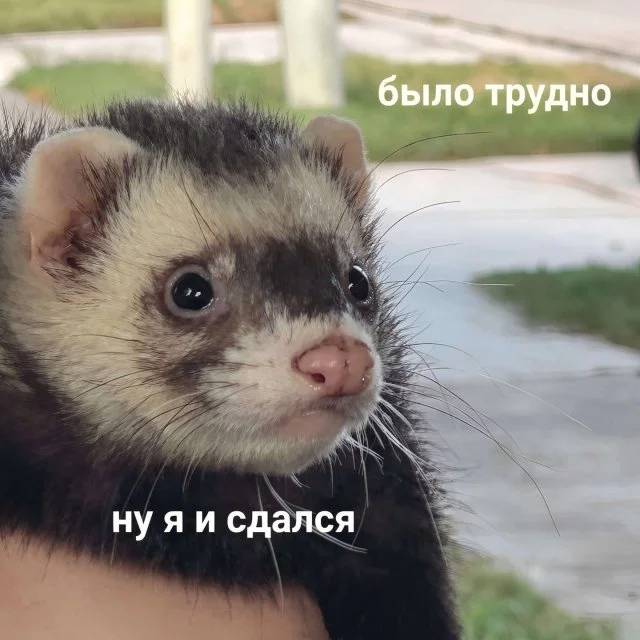 Было трудно, ну я и сдался...