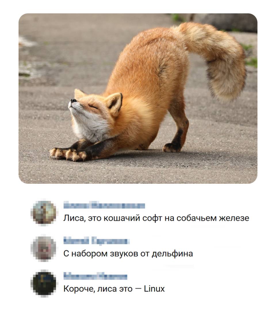 Лиса, это кошачий софт на собачьем железе.
С набором звуков от дельфина.
Короче, лиса это — Linux.