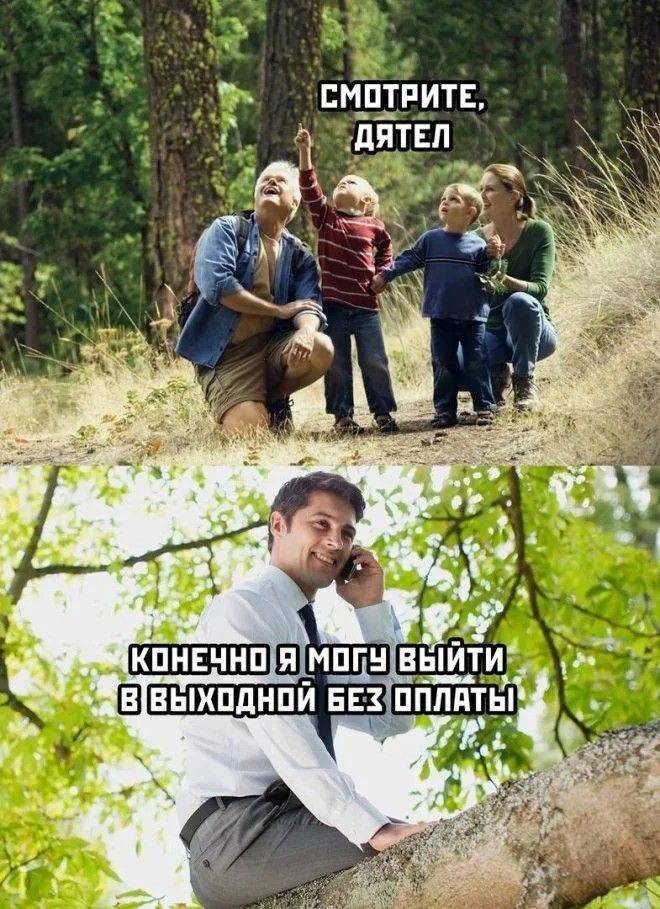– Смотрите, сидит дятел!
– Конечно я могу выйти в выходной без оплаты.