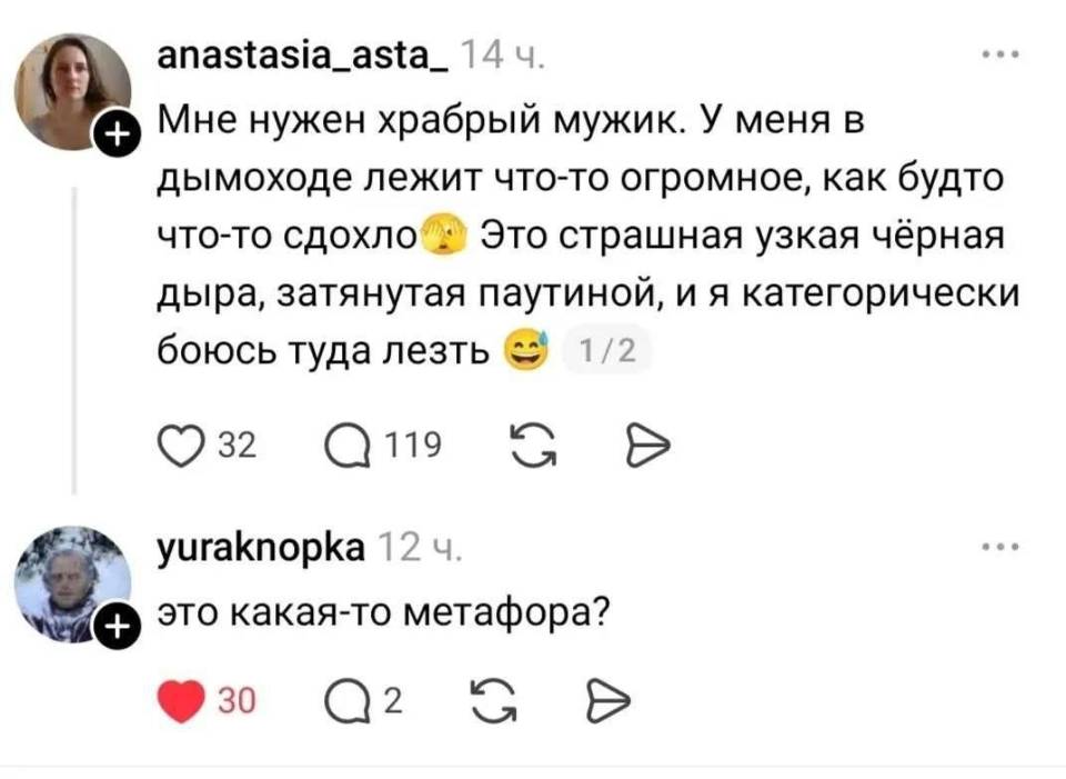 – Мне нужен храбрый мужик. У меня в дымоходе лежит что-то огромное, как будто что-то сдохло :? Это страшная узкая чёрная дыра, затянутая паутиной, и я категорически боюсь туда лезть.
– Это какая-то метафора?