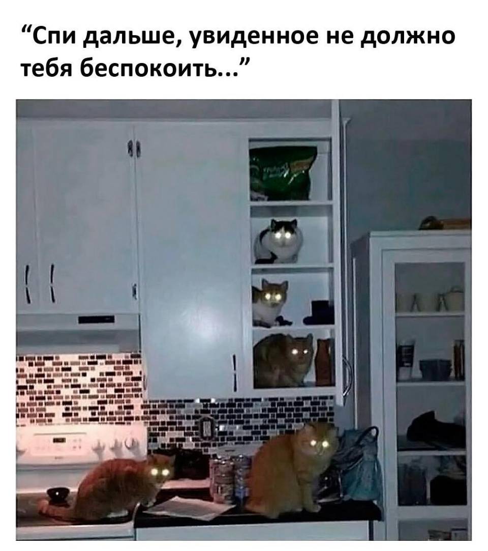Спи дальше, увиденное не должно тебя беспокоить...