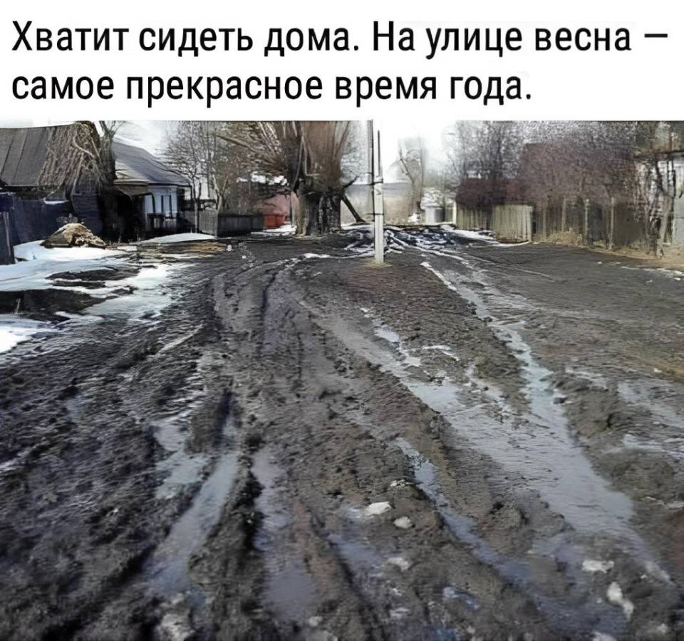 Хватит сидеть дома. На улице весна — самое прекрасное время года.