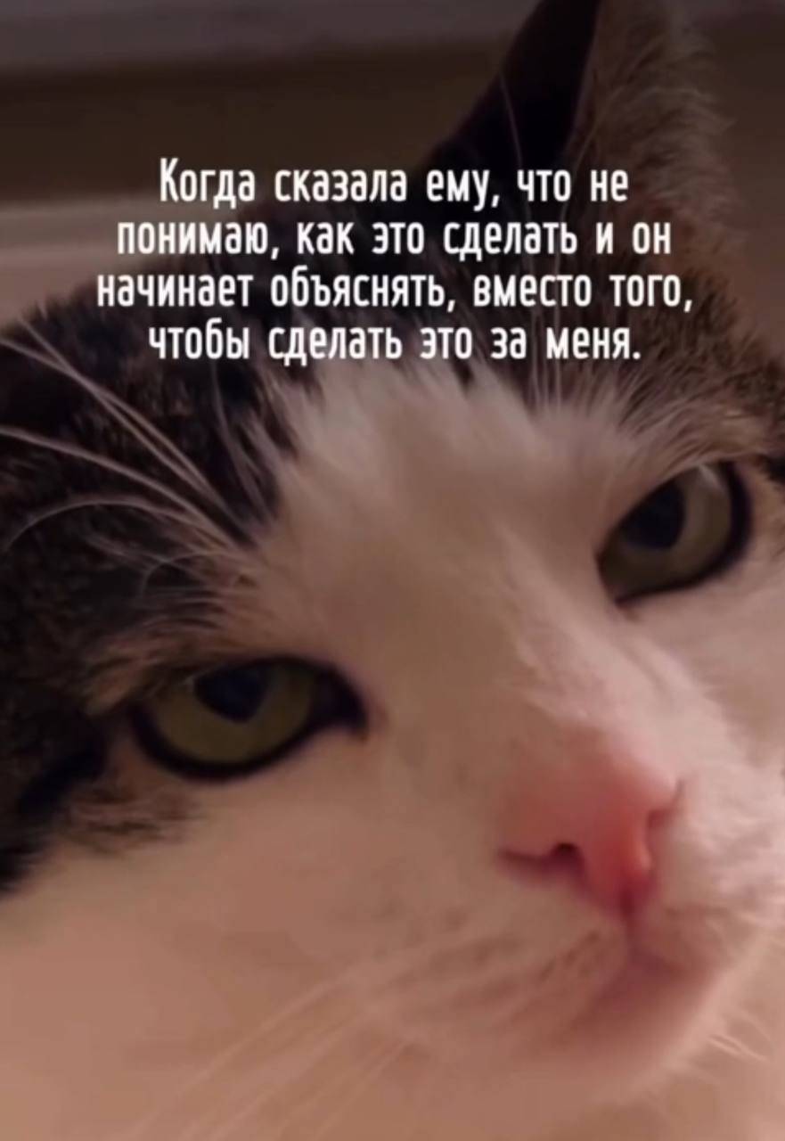Когда сказала ему, что не понимаю, как это сделать и он начинает объяснять, вместо того, чтобы сделать это за меня.
