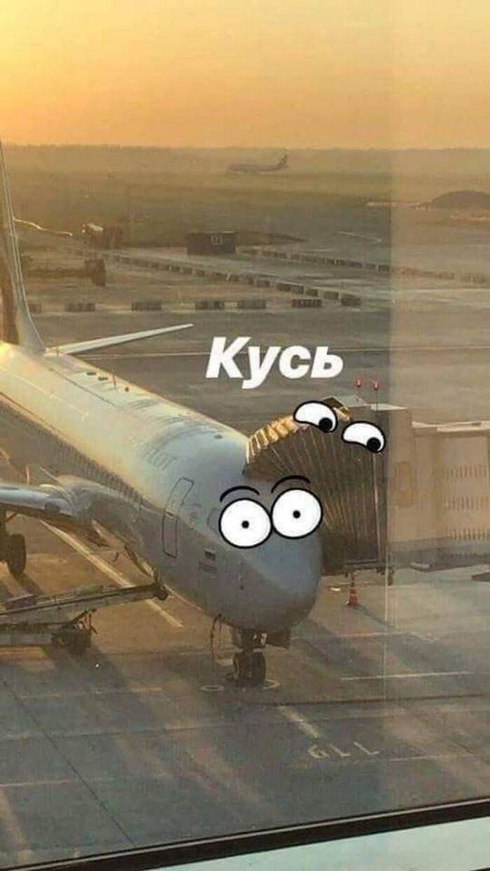 *КУСЬ*