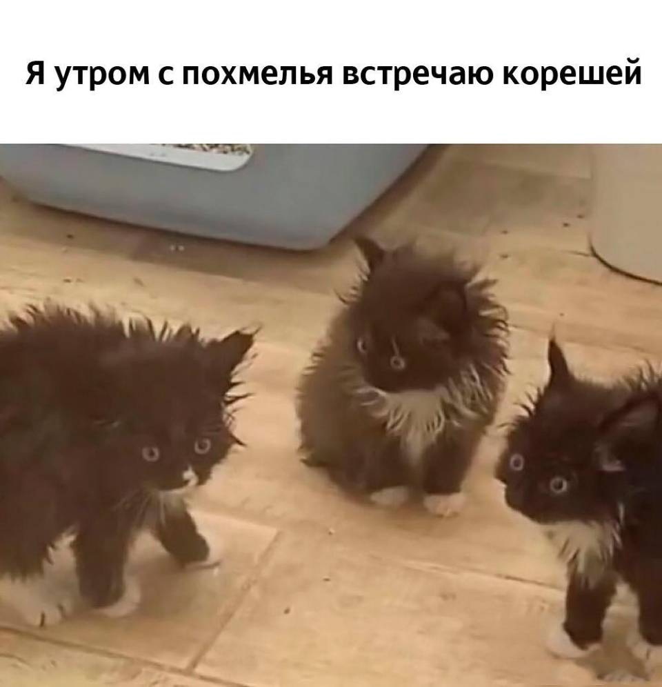 *Я утром с похмелья встречаю корешей*