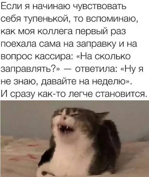 Если я начинаю чувствовать себя тупенькой, то вспоминаю, как моя коллега первый раз поехала сама на заправку и на вопрос кассира: «На сколько заправлять?» — ответила: «Ну я не знаю, давайте на неделю». И сразу как-то легче становится.