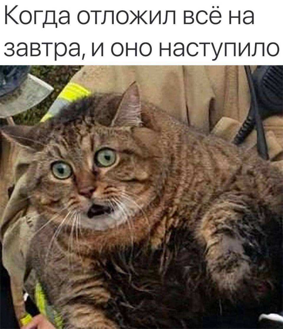 Когда отложил всё на завтра, и оно наступило.