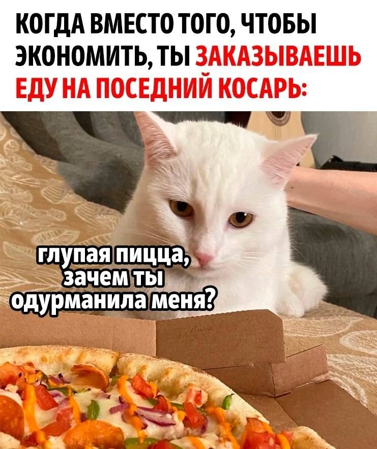 *КОГДА ВМЕСТО ТОГО, ЧТОБЫ ЭКОНОМИТЬ, ТЫ ЗАКАЗЫВАЕШЬ ЕДУ НА ПОСЕДНИЙ КОСАРЬ*
– Глупая пицца, зачем ты одурманила меня?