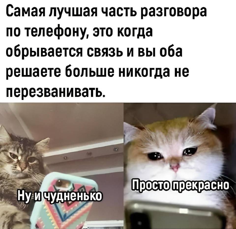Самая лучшая часть разговора по телефону, это когда обрывается связь и вы оба решаете больше никогда не перезванивать.
*Ну и чудненько*
*Просто прекрасно*