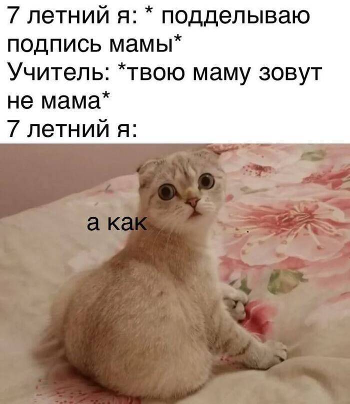 7 летний я: *подделываю подпись мамы*
Учитель: *твою маму зовут не мама*
7 летний я: *а как?*
