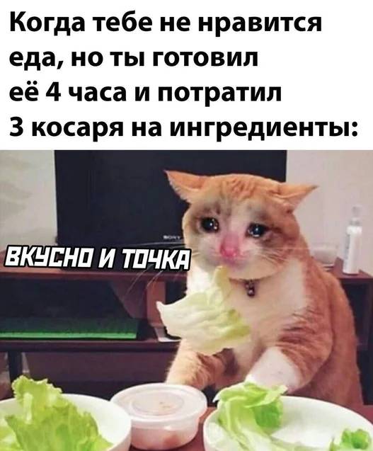 Когда тебе не нравится еда, но ты готовил её 4 часа и потратил 3 косаря на ингредиенты: Вкусно и точка.