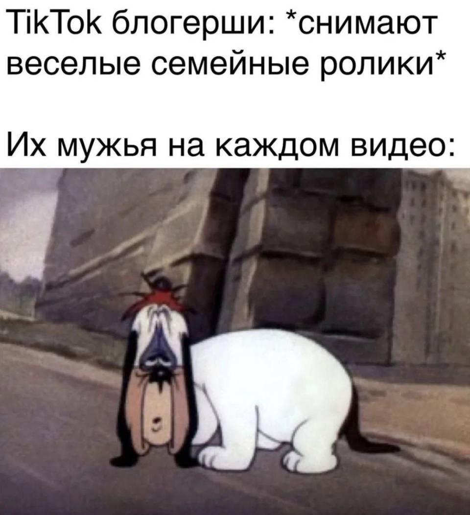 TikTok блогерши: *снимают веселые семейные ролики*
Их мужья на каждом видео: