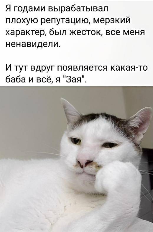Я годами вырабатывал плохую репутацию, мерзкий характер, был жесток, все меня ненавидели. И тут вдруг появляется какая-то баба и всё, я «Зая».