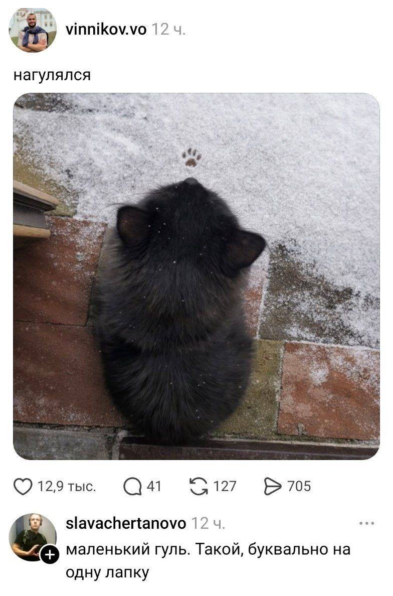 – Нагулялся.
– Маленький гуль. Такой, буквально на одну лапку.