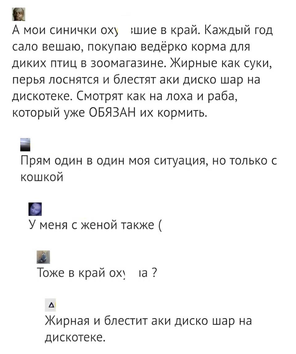 – А мои синички ох***шие в край. Каждый год сало вешаю, покупаю ведёрко корма для диких птиц в зоомагазине. Жирные как суки, перья лоснятся и блестят аки диско шар на дискотеке. Смотрят как на лоха и раба, который уже ОБЯЗАН их кормить.
– Прям один в один моя ситуация, но только с кошкой.
– У меня с женой также.
– Тоже в край оуела?
– Жирная и блестит аки диско шар на дискотеке.
