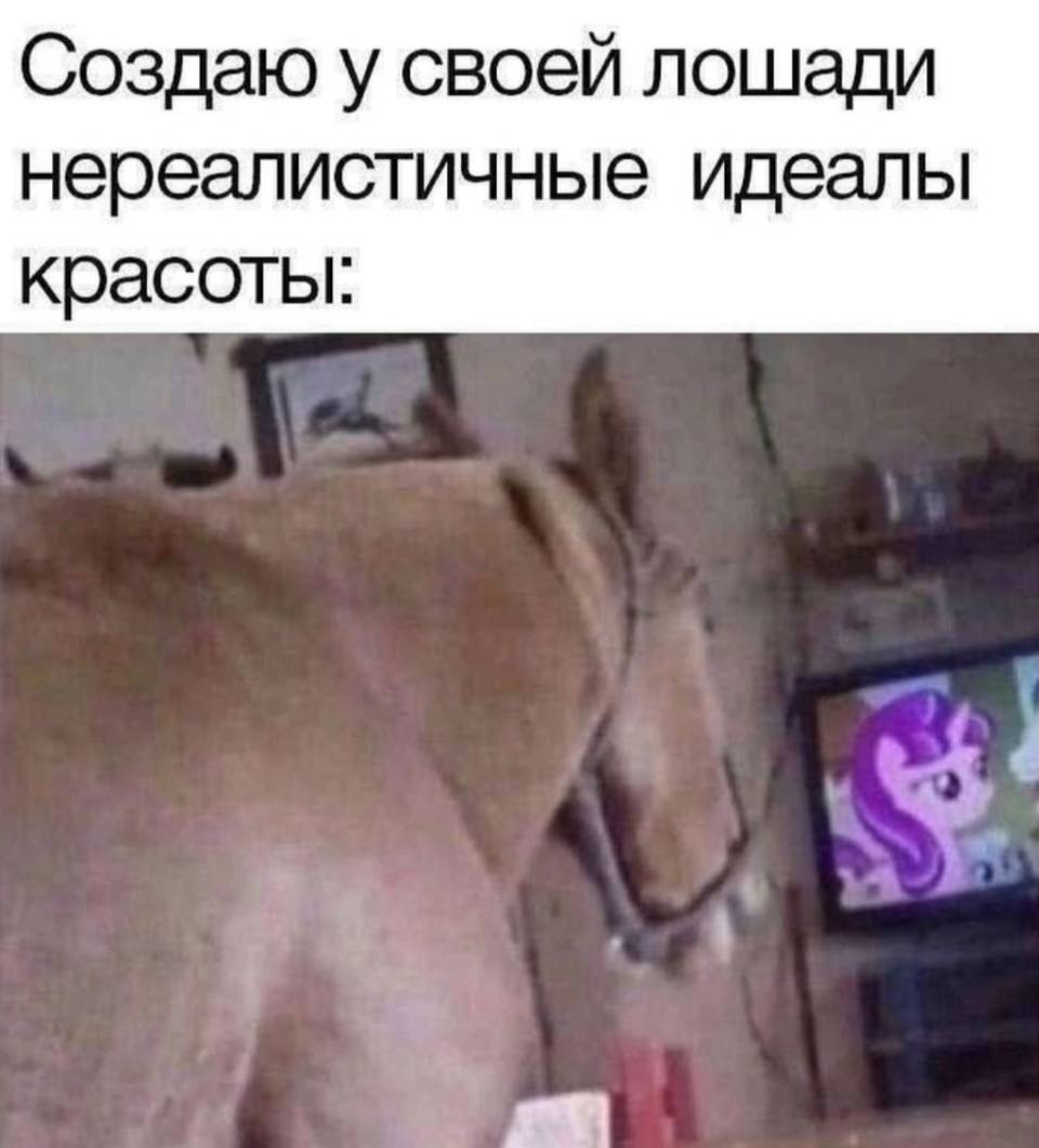 Создаю у своей лошади нереалистичные идеалы красоты: