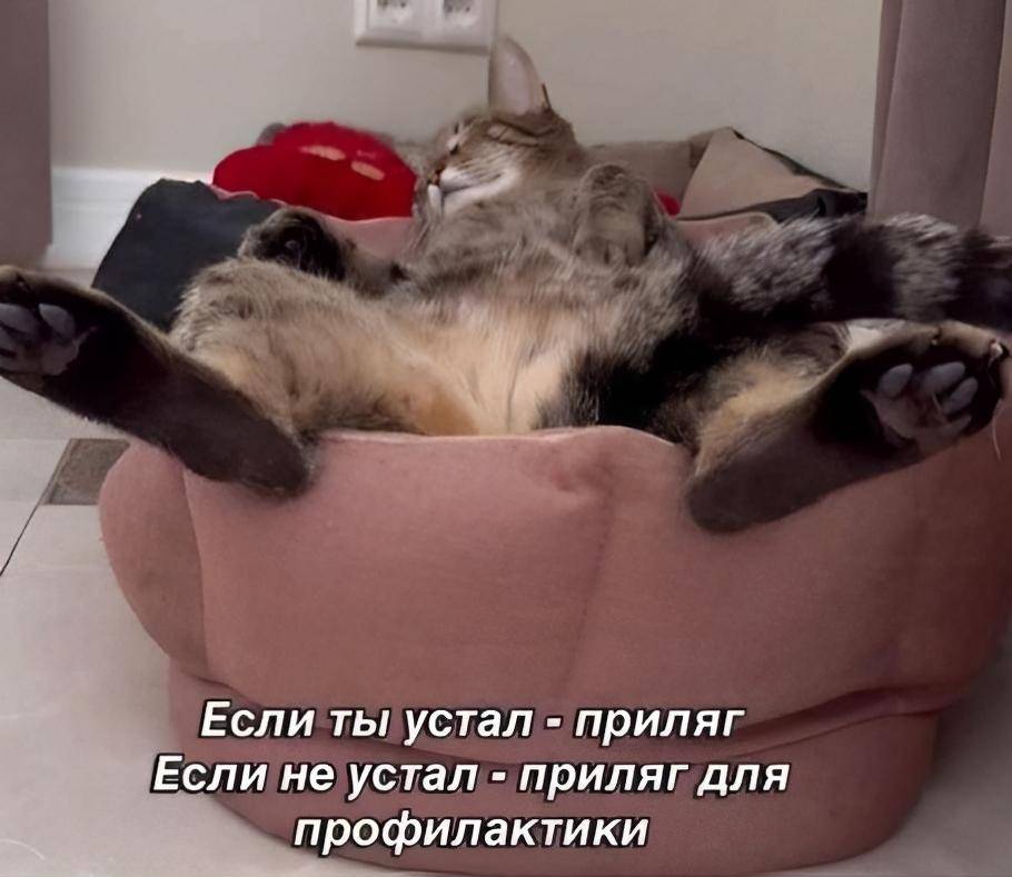 Если ты устал — приляг.
Если не устал — приляг для профилактики.