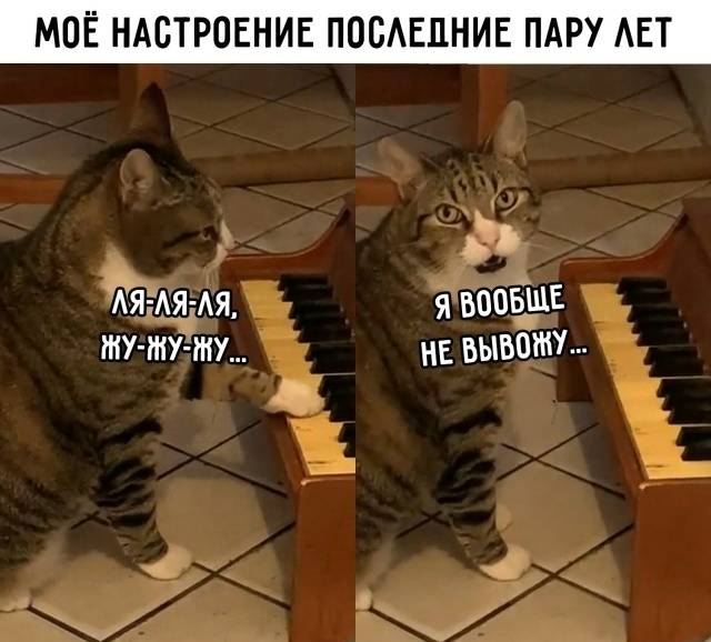 *МОЁ НАСТРОЕНИЕ ПОСЛЕДНИЕ ПАРУ ЛЕТ*
– Ля-ля-ля, жу-жу-жу... Я вообще не вывожу...
