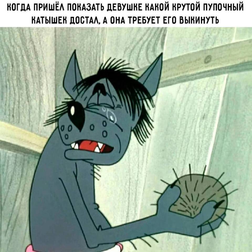 *КОГДА ПРИШЁЛ ПОКАЗАТЬ ДЕВУШКЕ КАКОЙ КРУТОЙ ПУПОЧНЫЙ КАТЫШЕК ДОСТАЛ, А ОНА ТРЕБУЕТ ЕГО ВЫКИНУТЬ*