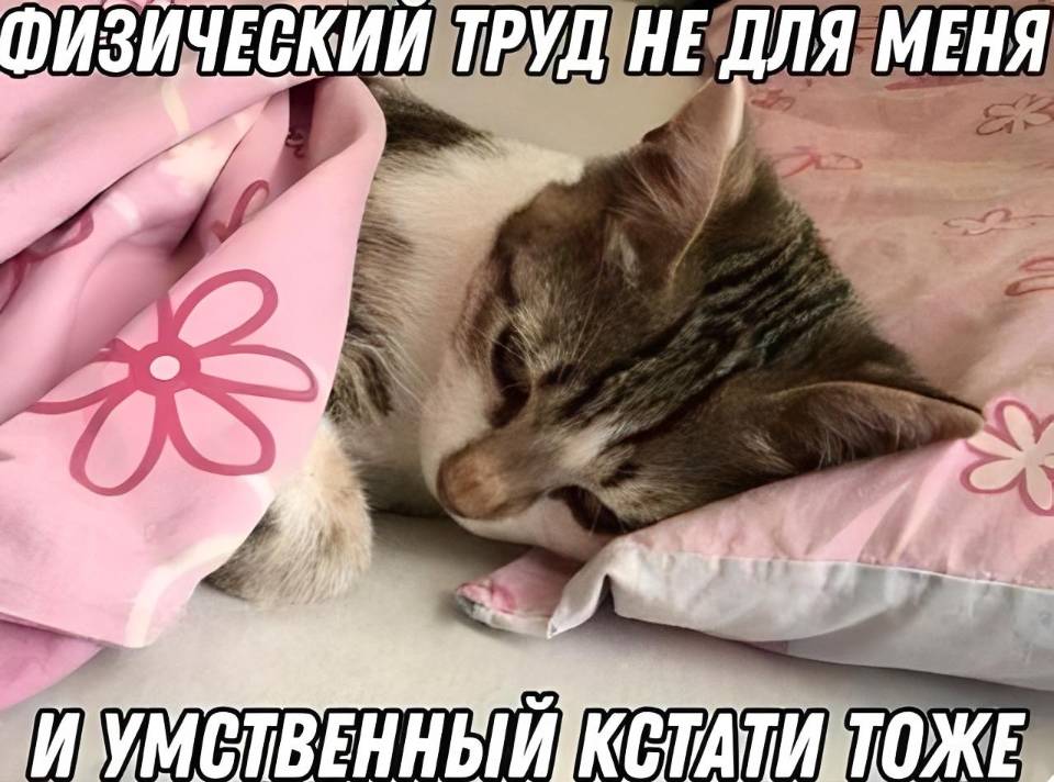 Физический труд не для меня. И умственный, кстати, тоже...