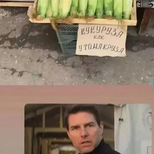 *Кукуруза как у Тома Круза*