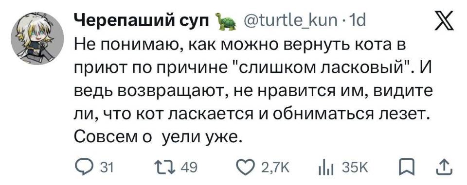 Не понимаю, как можно вернуть кота в приют по причине слишком ласковый. И ведь возвращают, не нравится им, видите ли, что кот ласкается и обниматься лезет. Совсем оуели уже.