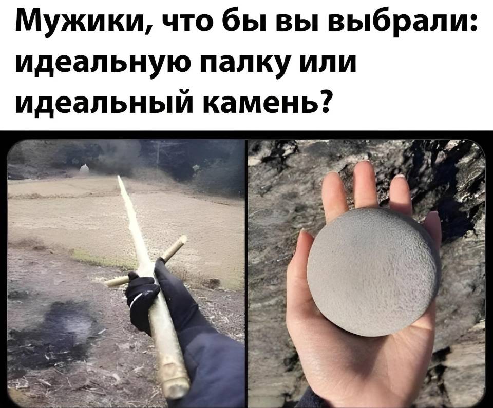 Мужики, что бы вы выбрали: идеальную палку или идеальный камень?